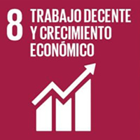SDG goal 8